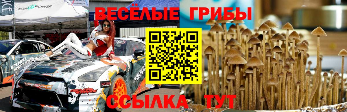 Псилоцибиновые грибы прущие грибы Шали