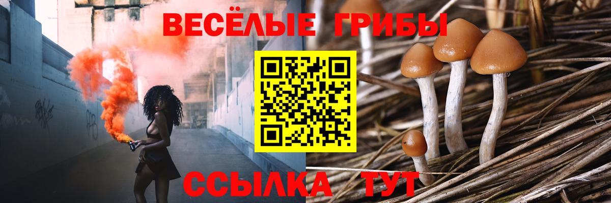 Галлюциногенные грибы Magic Shrooms  Вход с VPN  Шали 